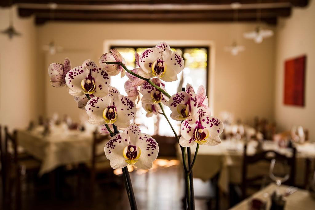 Charme Hotel Osteria Carletti Bedano Buitenkant foto